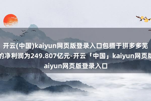 开云(中国)kaiyun网页版登录入口包摄于拼多多芜俚股推动的净利润为249.807亿元-开云「中国」kaiyun网页版登录入口