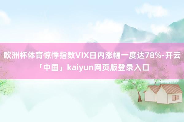欧洲杯体育惊悸指数VIX日内涨幅一度达78%-开云「中国」kaiyun网页版登录入口