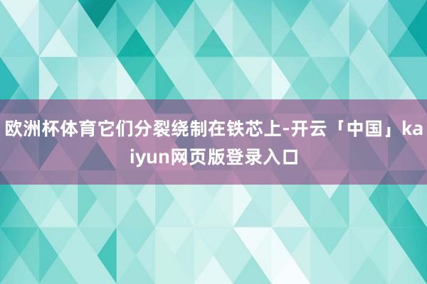 欧洲杯体育它们分裂绕制在铁芯上-开云「中国」kaiyun网页版登录入口