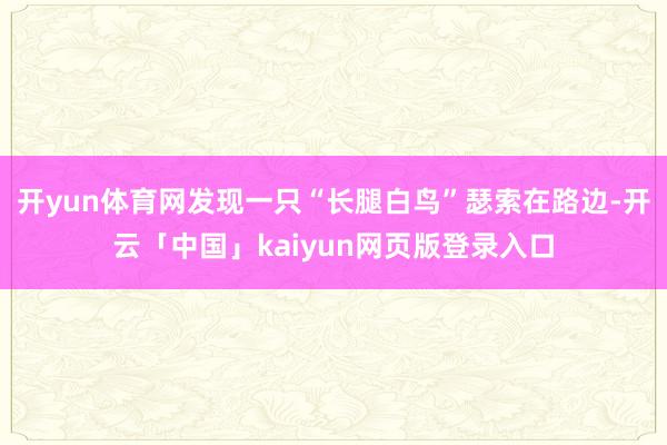 开yun体育网发现一只“长腿白鸟”瑟索在路边-开云「中国」kaiyun网页版登录入口