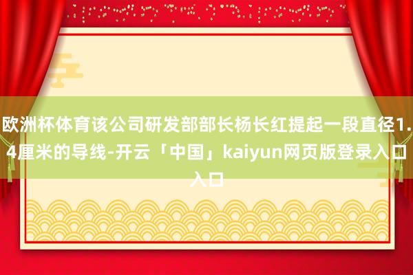 欧洲杯体育该公司研发部部长杨长红提起一段直径1.4厘米的导线-开云「中国」kaiyun网页版登录入口
