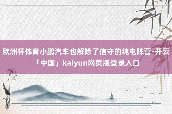 欧洲杯体育小鹏汽车也解除了信守的纯电阵营-开云「中国」kaiyun网页版登录入口
