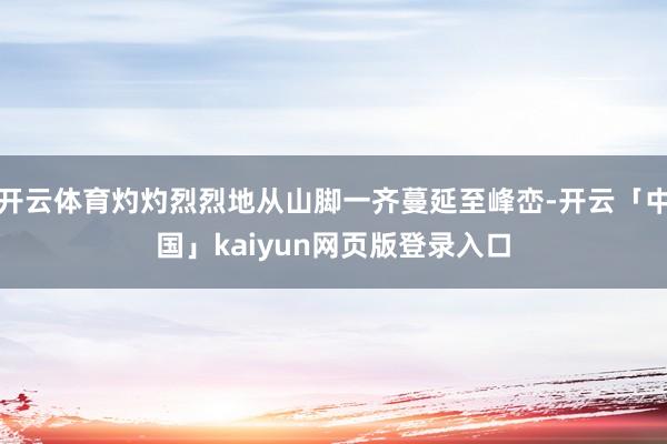 开云体育灼灼烈烈地从山脚一齐蔓延至峰峦-开云「中国」kaiyun网页版登录入口