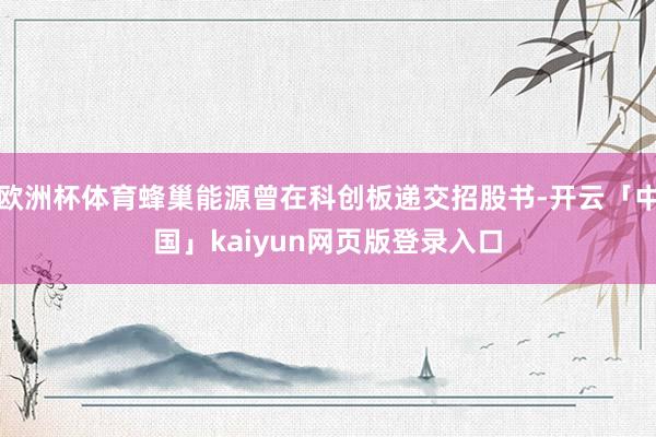 欧洲杯体育蜂巢能源曾在科创板递交招股书-开云「中国」kaiyun网页版登录入口