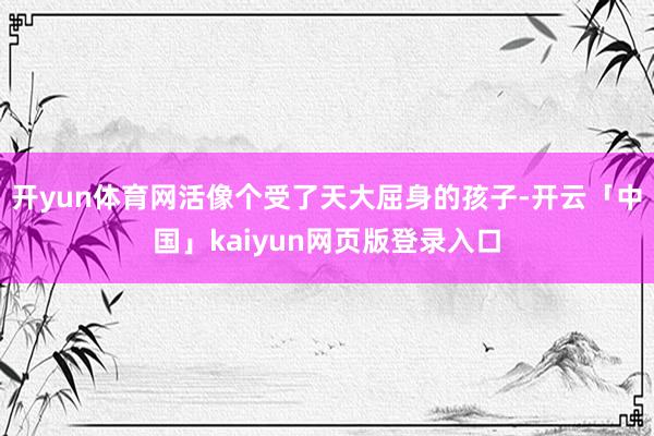 开yun体育网活像个受了天大屈身的孩子-开云「中国」kaiyun网页版登录入口