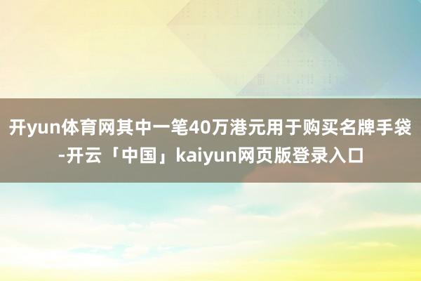 开yun体育网其中一笔40万港元用于购买名牌手袋-开云「中国」kaiyun网页版登录入口